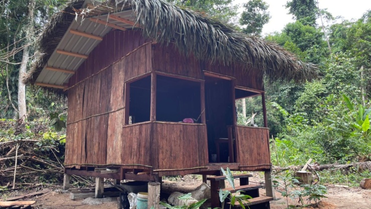Jungle Hut Construction #15