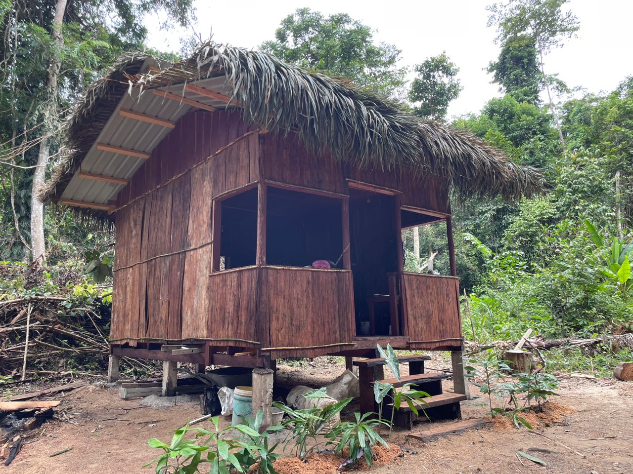 Jungle Hut Construction #15