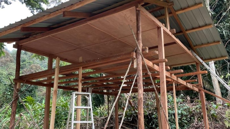 Jungle Hut Construction Sept #7