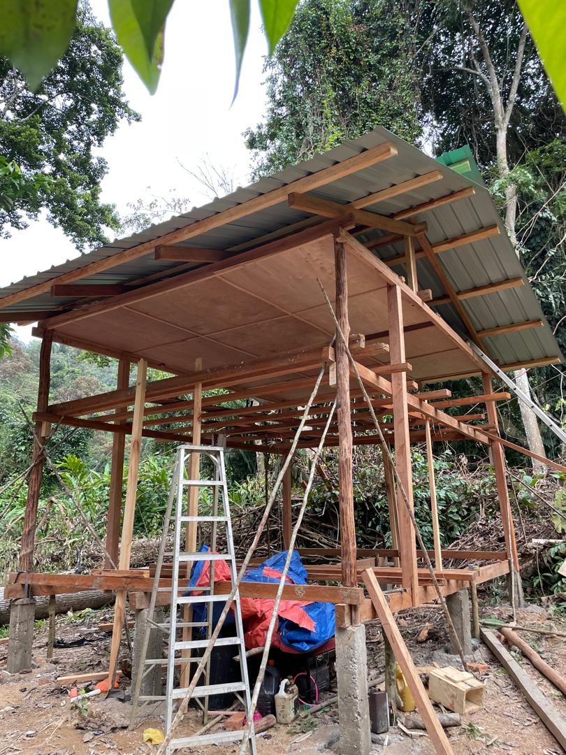 Jungle Hut Construction Sept #7